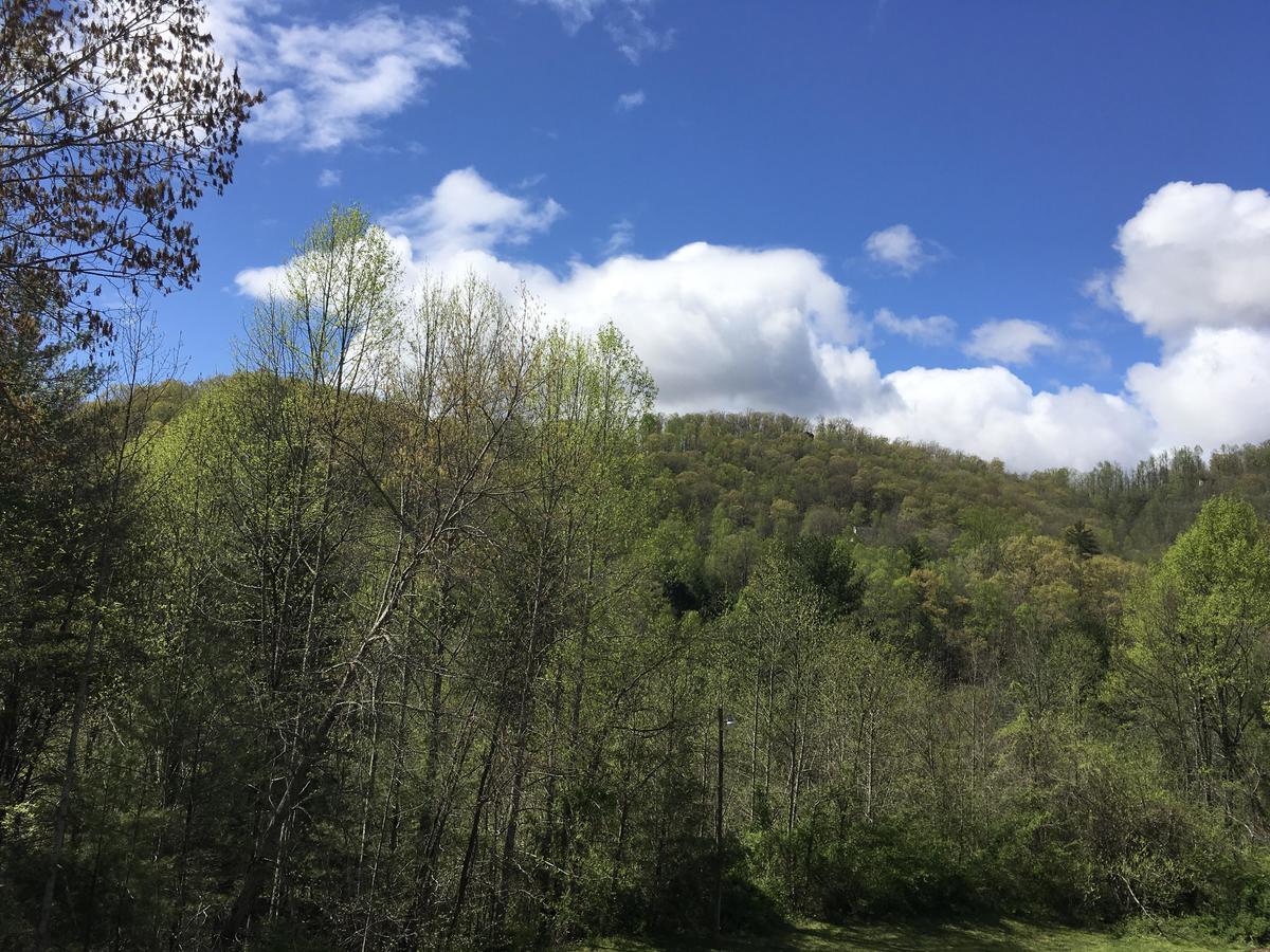 University Inn Cullowhee Dış mekan fotoğraf